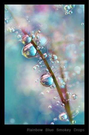 Rainbow Blue Smokey Drops.jpg